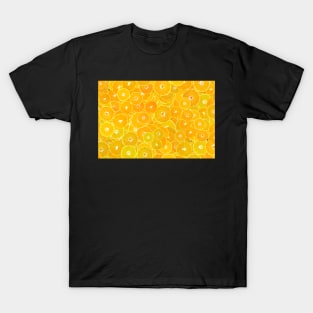 Tangerine fruit T-Shirt